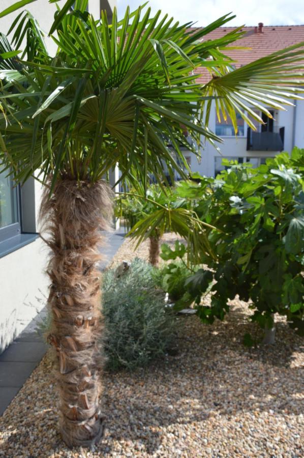 Palm Garden Apartment 1 Микулов Экстерьер фото